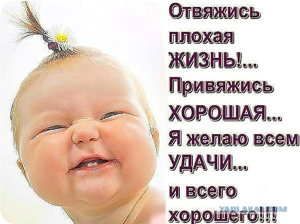 Кубики на пятницу