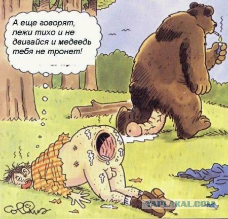 Российские модели защитили медведя голым телом