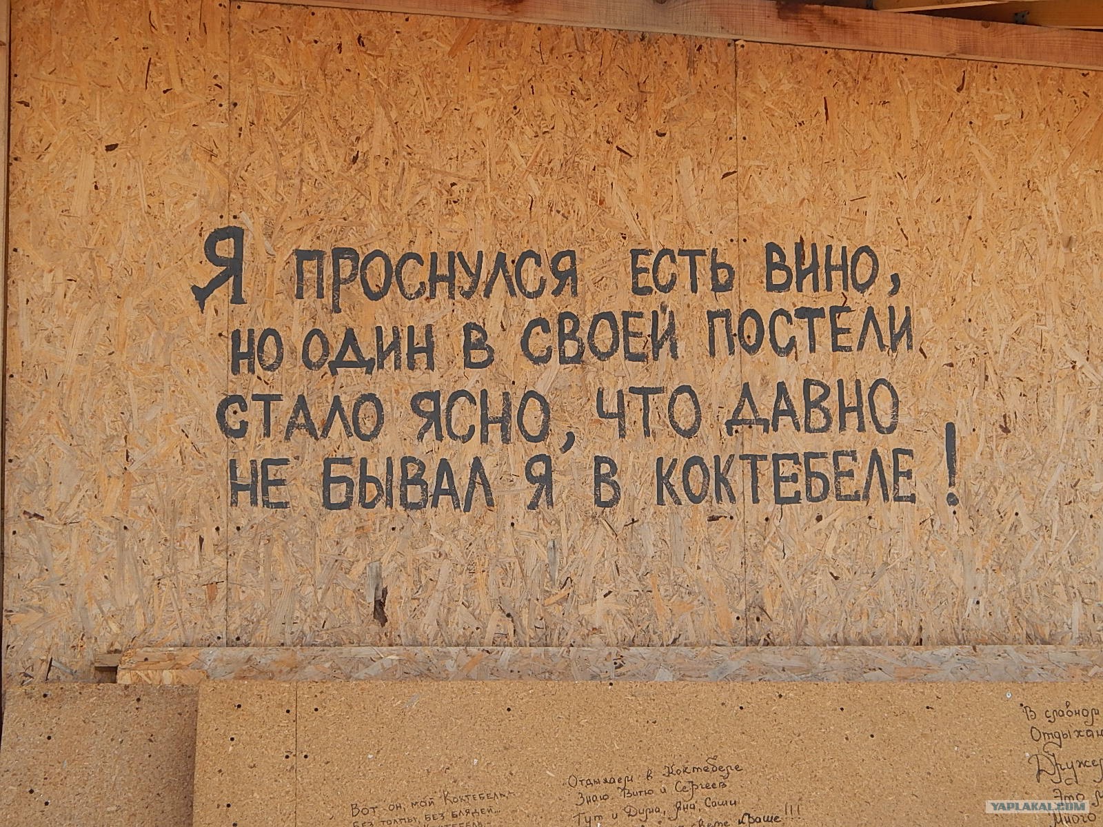 Лунтик я проснулся
