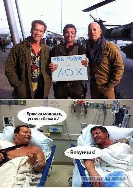 Ужасы и приколы из соцсетей 18+