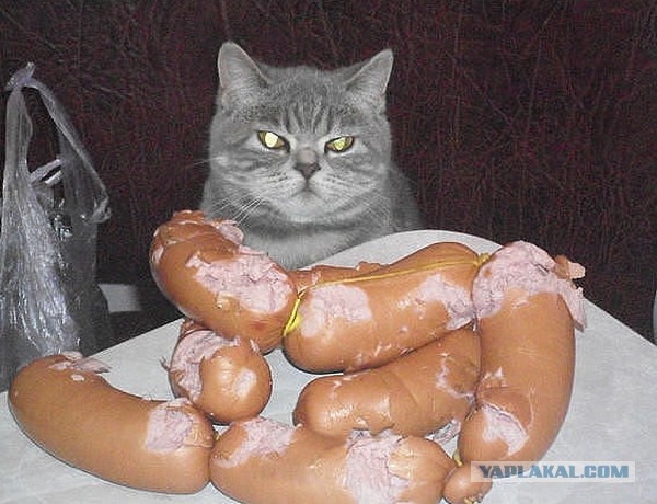 Я вор и клептоман.