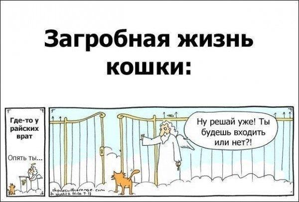 Кто такой?- сурово спросил ангел на входе