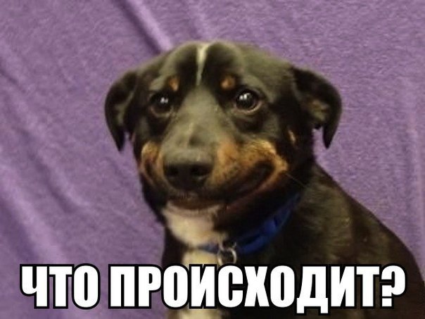 А давайте улыбнёмся В Новом Году