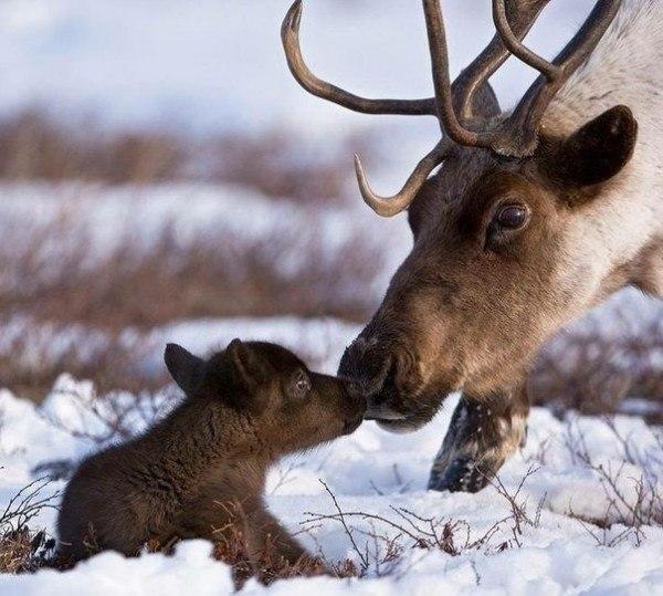 Уходящая неделя в картинках