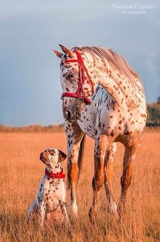 Интересные и смешные картинки!