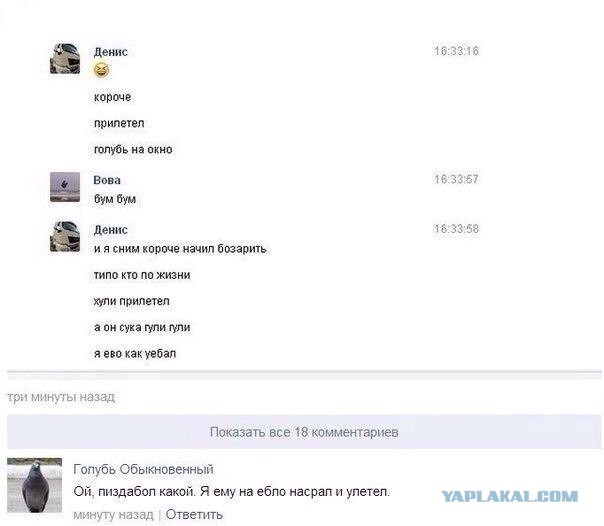 Комментарии, подписи, текстовые приколы