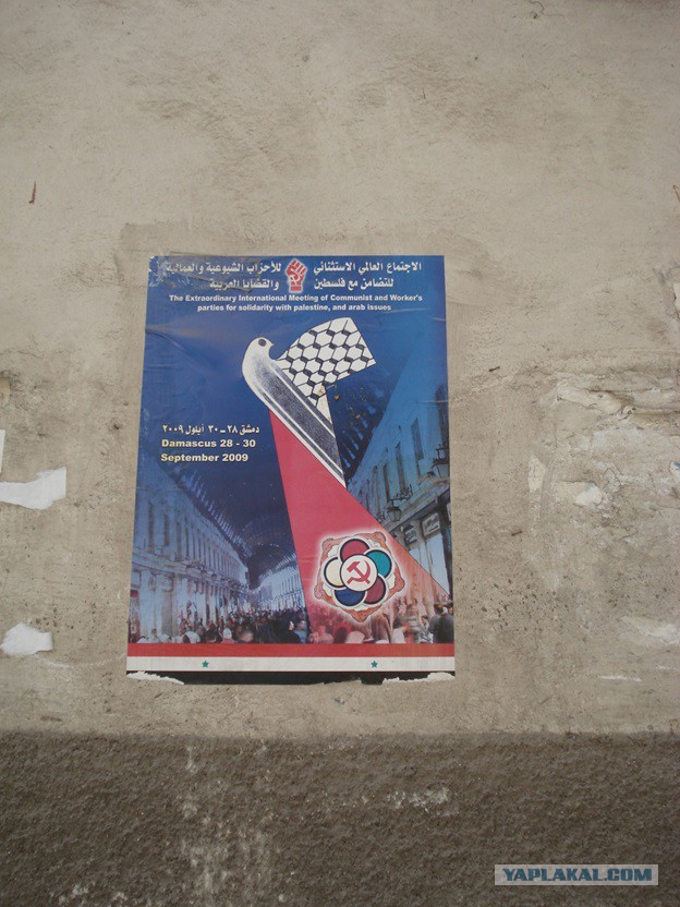 Путешествие по Ближнему Востоку (Сирия – Иордания – Ливан). Часть 2.