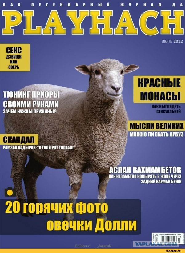 Кто я? С какого я района? Почему я такой дерзкий.
