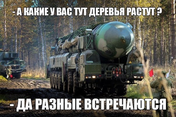 Ассорти картинок из сети