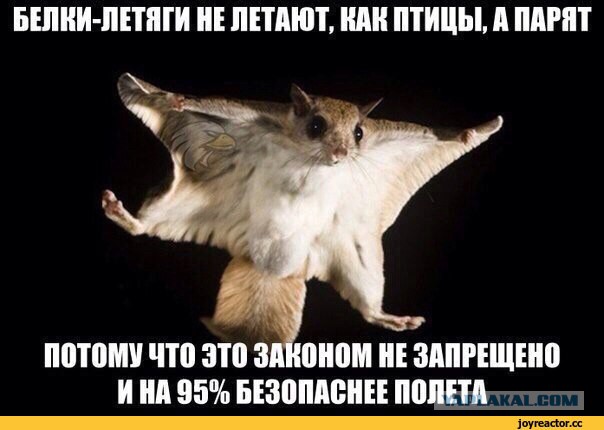 Парировали