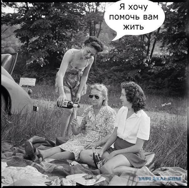 Смешные картинки из сети