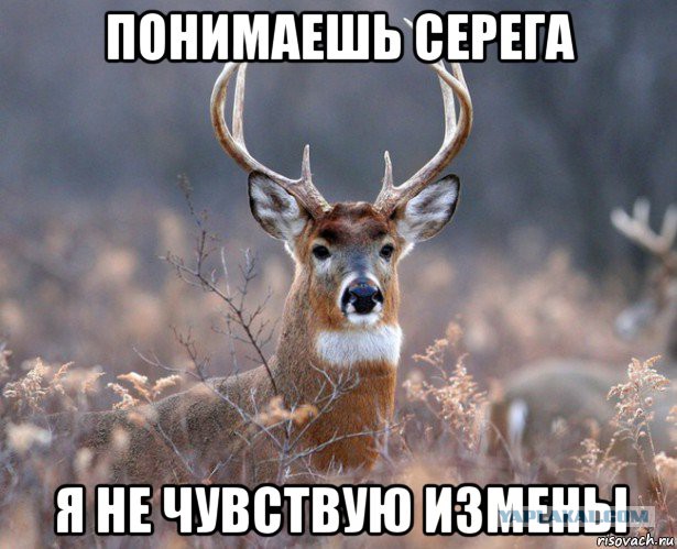 Бедолага - капитан.
