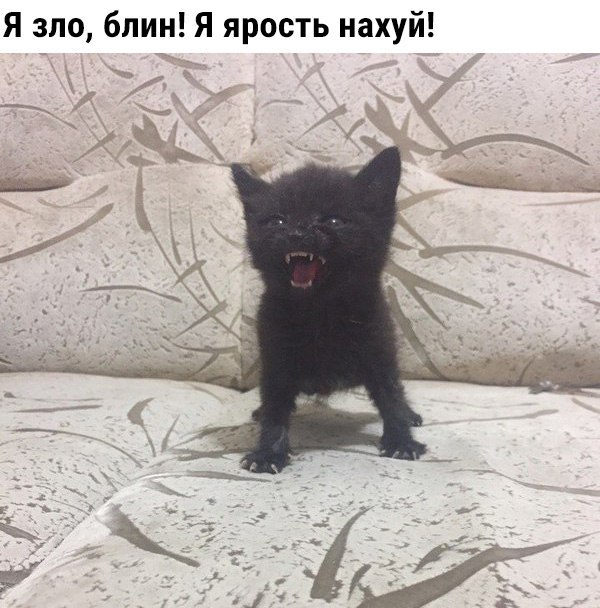 Странный юмор