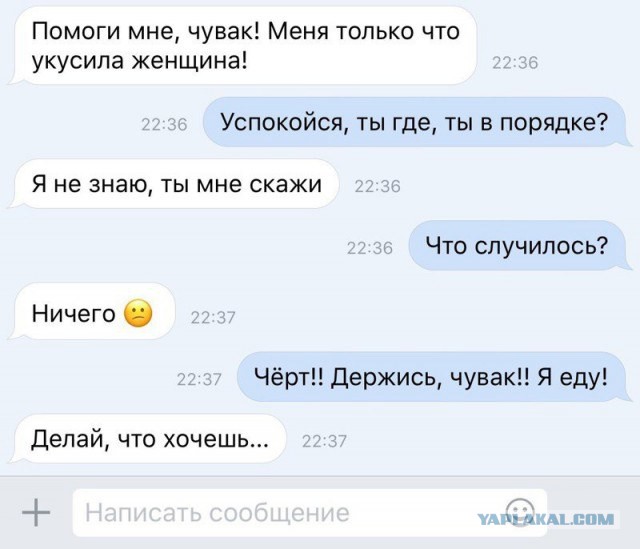 Приколы на любые темы