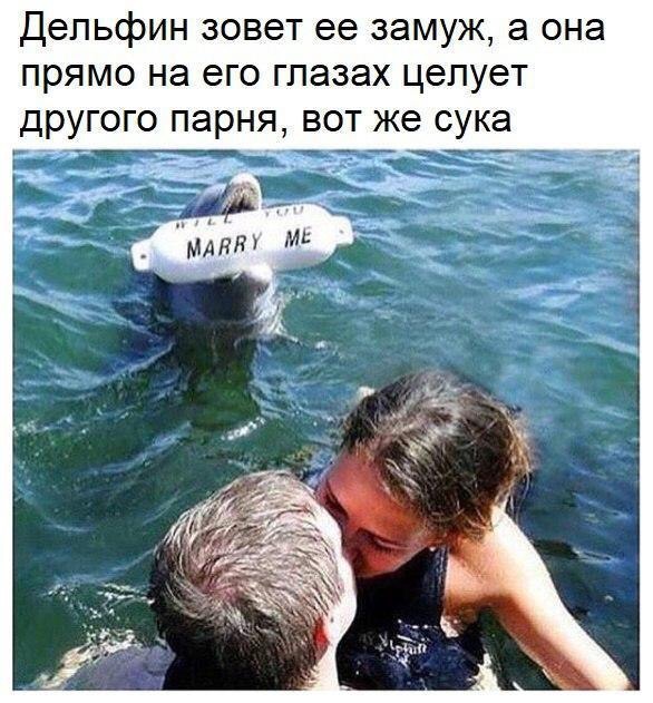 Порция картинок на субботу