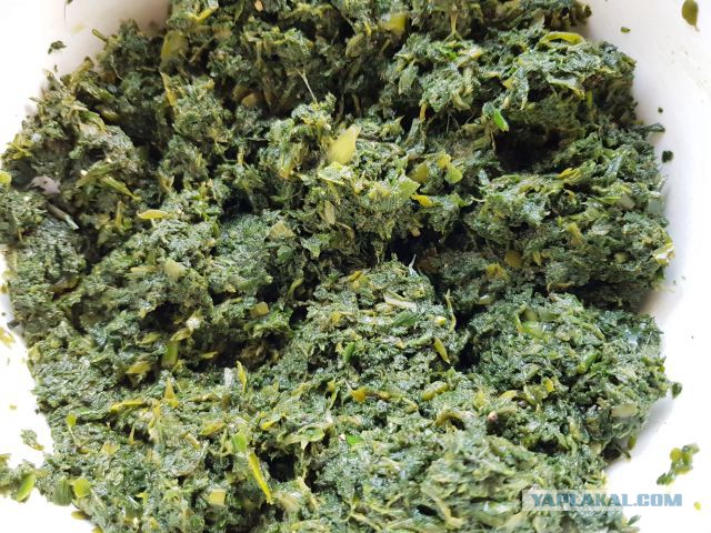 Кулинары поздравляют ЯП с днём рождения!