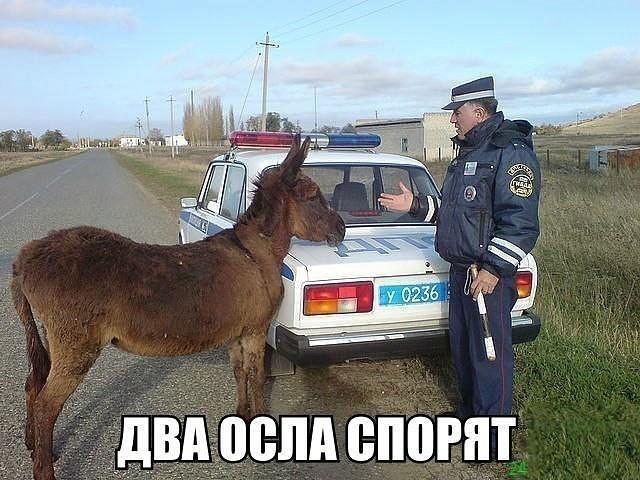 Подборка интересных и веселых картинок