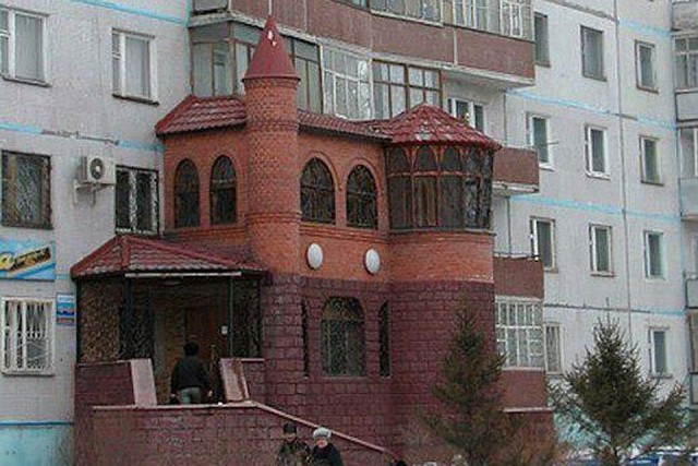 Лента прикольных картинок