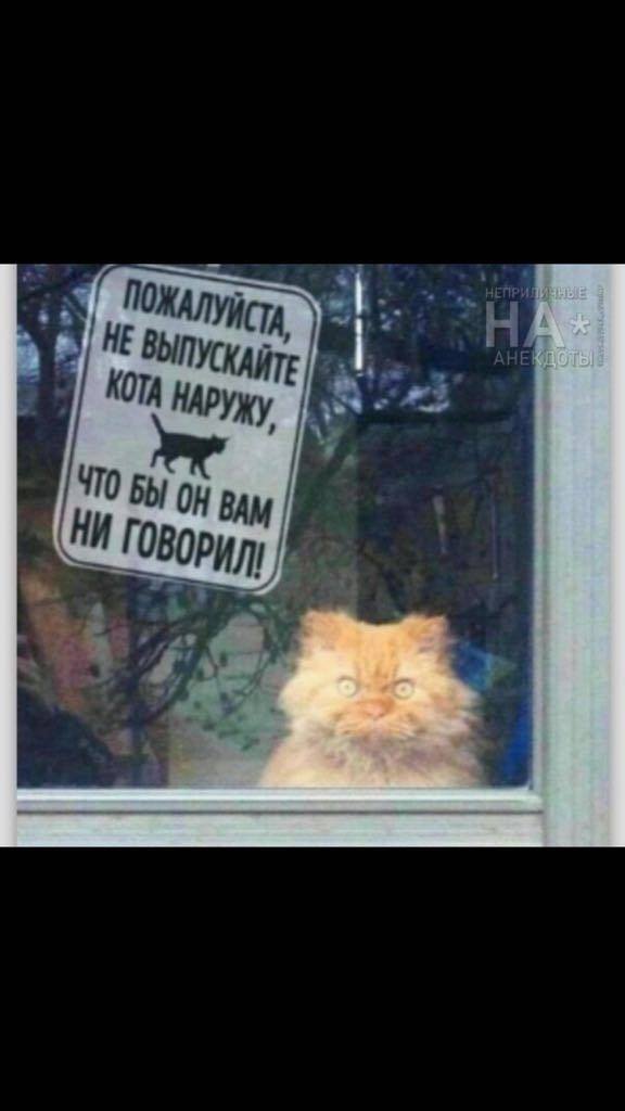 Немного картинок в этот понедельник