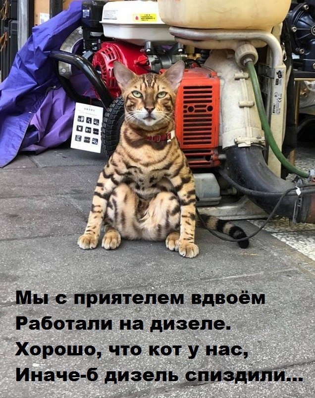 Немного картинок для настроения