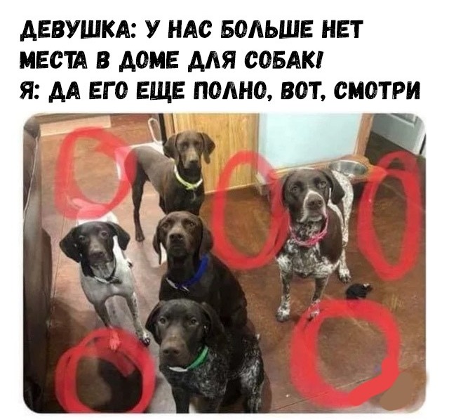 Нестандартный юмор