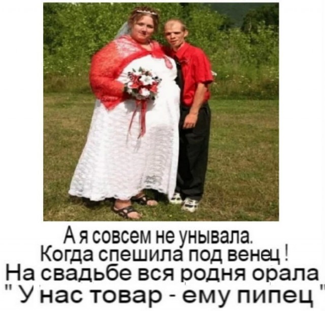 Стишепикчи
