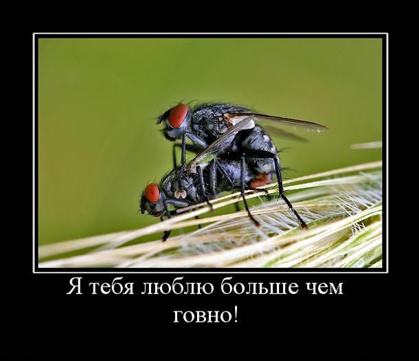 Демки и ностальджи