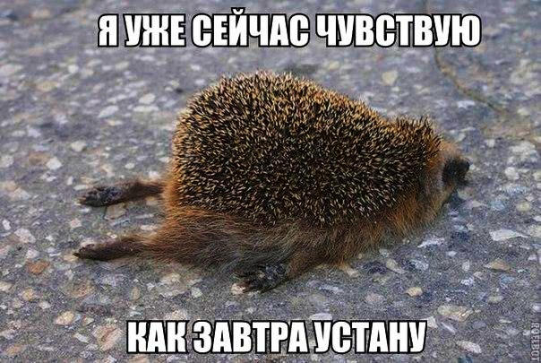 Картинки с надписями,истории и анекдоты