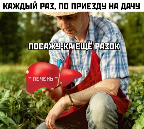 Традиционный алкопост в эту пятницу