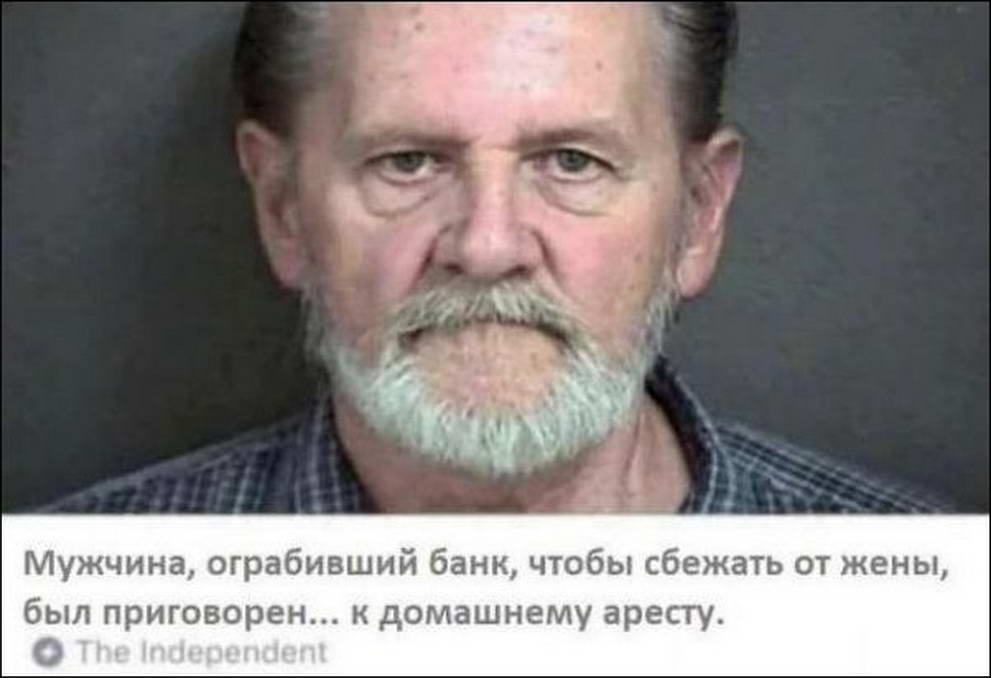 13558591.jpg