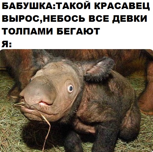 Чуток картинок!