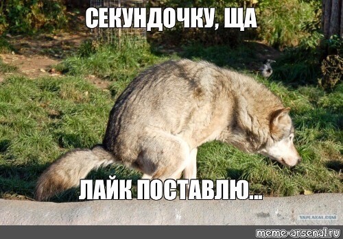 Большое выступление Путина по ситуации с коронавирусом. Прямая трансляция
