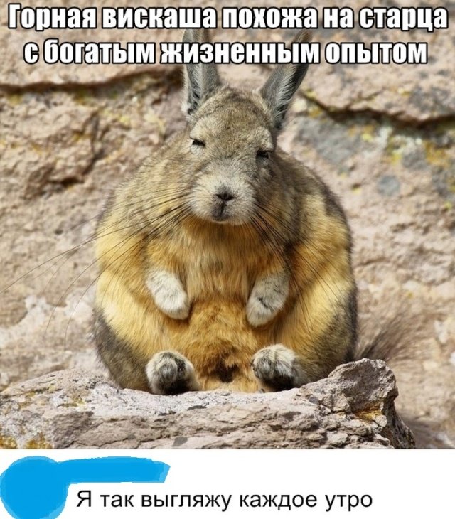 Прикольные и просто красивые картинки 02.10.2020