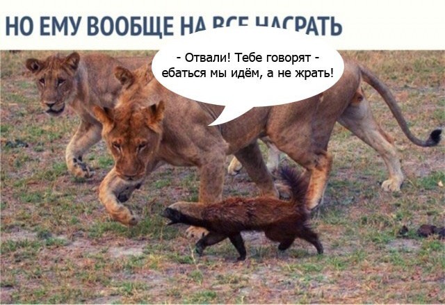 С миру по нитке 11.12 пятница