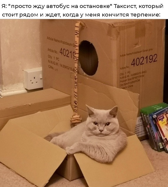 Картинки и мемы для настроения 17.06.2021