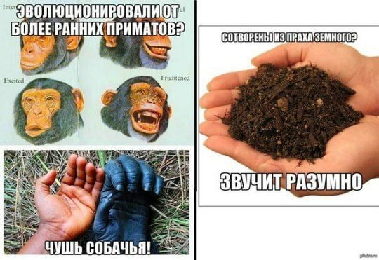 Слава богу, я безбожник #3