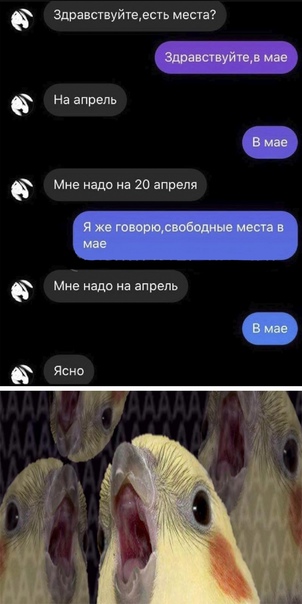 Баянисто-небаянистый юмор 23.08.21