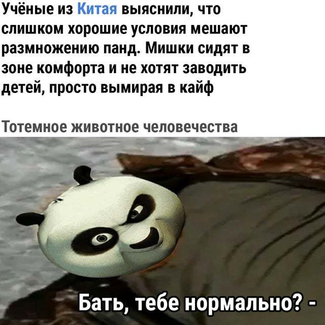 Так себе картинки 07.10.21