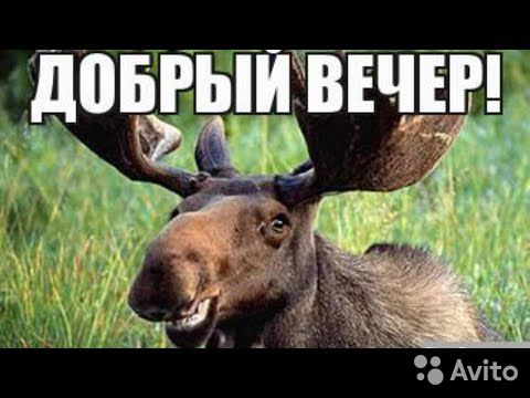 Пост деградации. Мой любимый пост. Категории Б