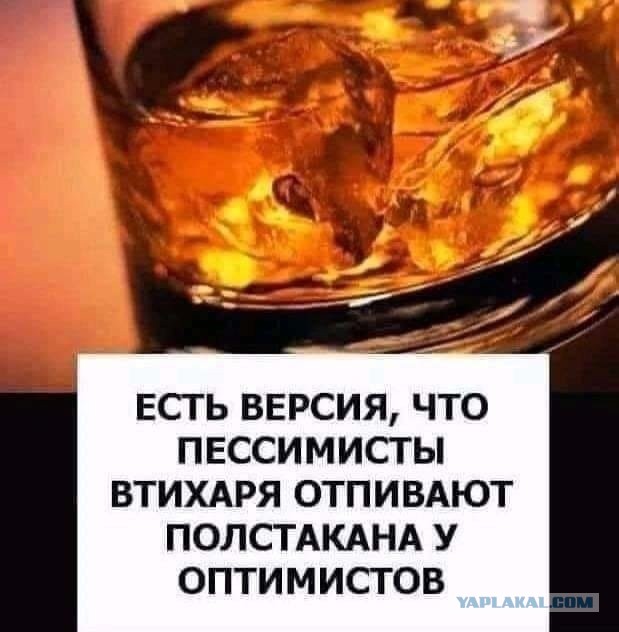 Весёлый полтишок 26.11