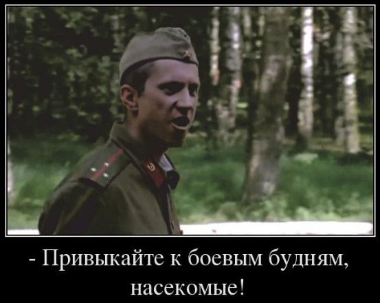Русскоязычные пользователи обвиняют певицу Бейонсе в плагиате