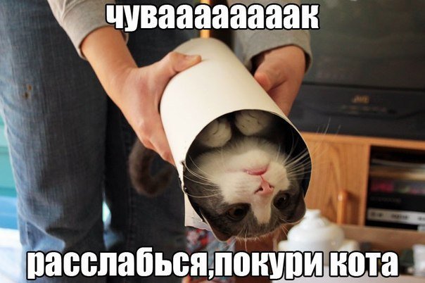 Экзистенциальная тупость