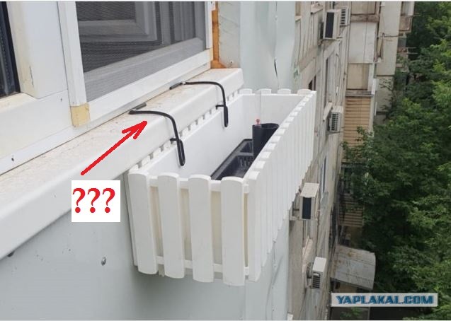 Посоветуйте многолетние неприхотливые цветы