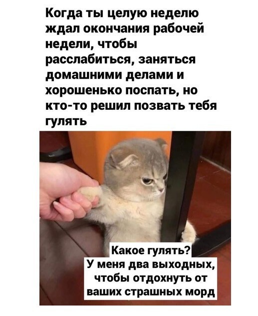Баянисто-небаянистый юмор 25.07.22