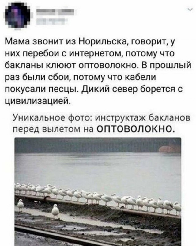 Картинки с надписями 18.08.22