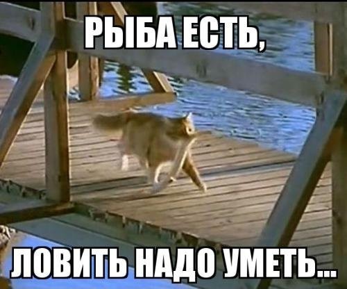Гордость