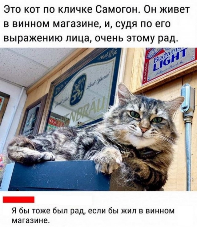 Так себе картинки 10.09.22