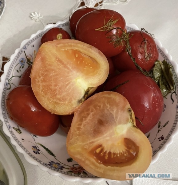 У меня в садочке! Хроника одного … помело? грейпфрута? померанца цитрус?