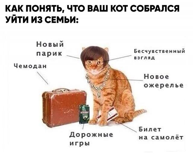 Картинки и мемы, всем хороших выходных