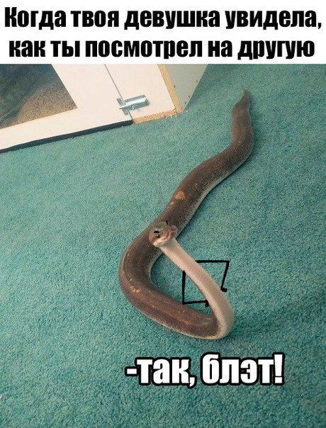 Картинки разные, возможны баяны